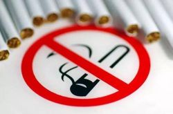10分钟教程!楚雄分公司_哔哩哔哩